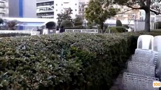 国产黑色丝袜高跟在线 -免费在线观看-日韩中文字幕